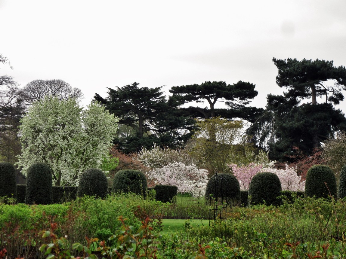 Kew Garden’s blossoms